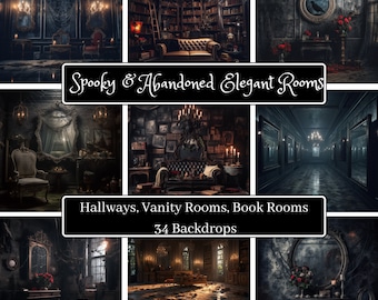 Spooky Abandoned Elegant Rooms Hallways Baroque Vanity Book Room Digital Backdrop Background Wedding Party Maternity Photoshoot Studio Art