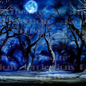 May include: A theatrical backdrop depicting a moonlit forest scene. Silhouetted trees with bare branches stand against a dark blue sky with a full moon. The words "Theatre Projections Etsy" are partially visible.