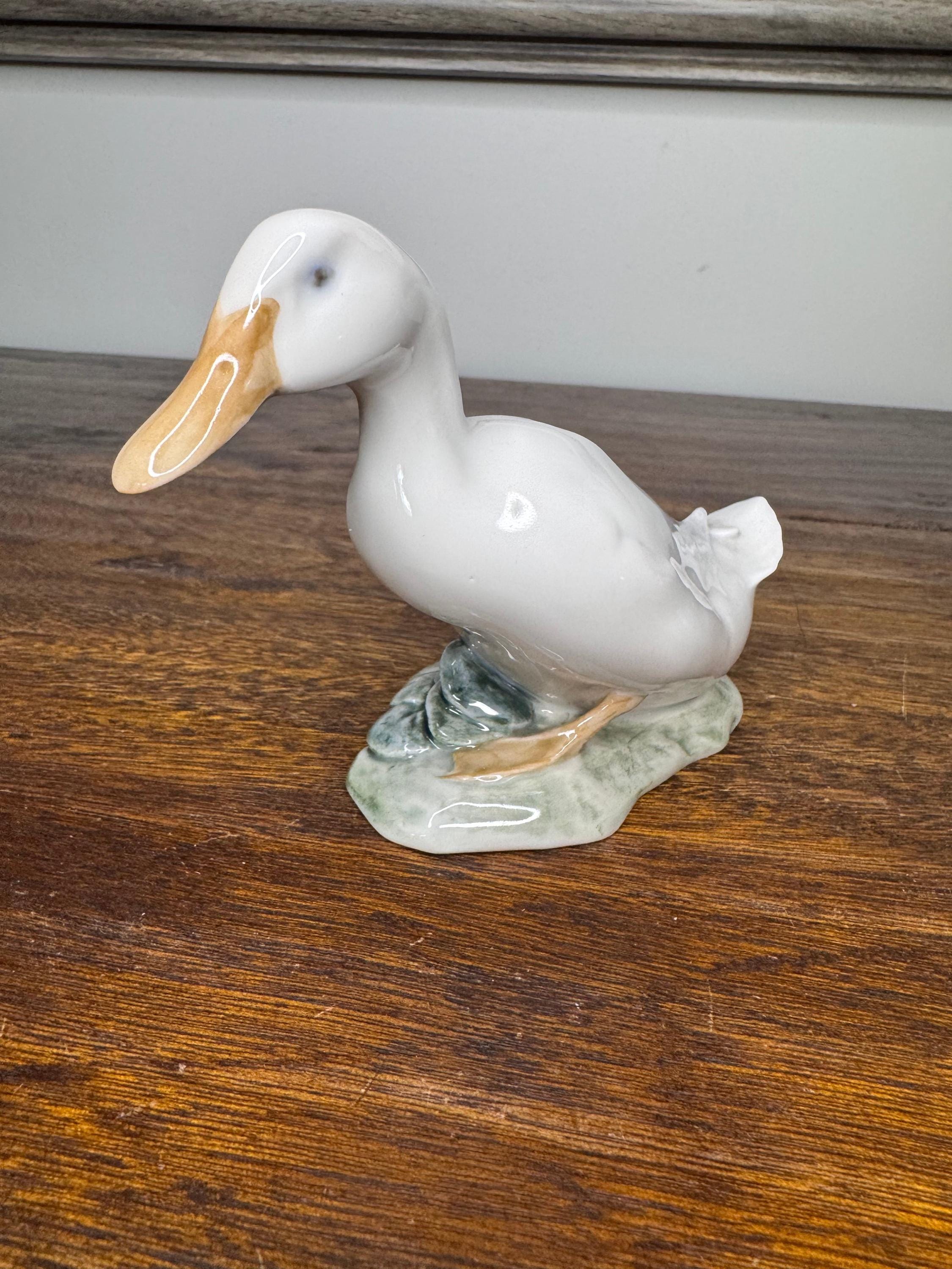 Boeuf musqué - BILODEAU Canada Taxidermy