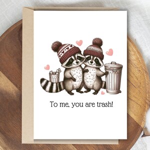 Carte de Saint-Valentin drôle de raton laveur, carte d'anniversaire pour moi, vous êtes une poubelle, carte imprimable Galentines, dernière minute, Saint-Valentin pour un ami