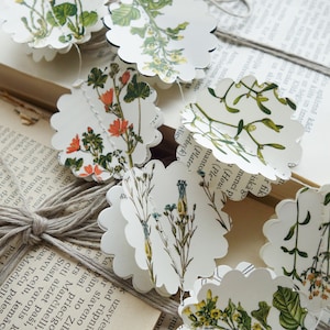 Ghirlanda botanica, decorazioni botaniche per matrimoni, decorazioni botaniche per baby shower, decorazioni botaniche per bridal shower, decorazioni botaniche