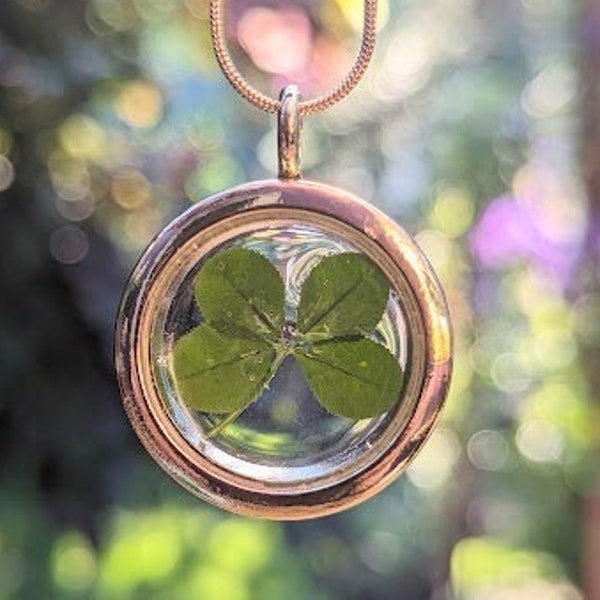 Real Four Leaf Clover Necklace - Etsy
