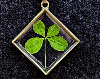 Real Lucky Four-leaf Clover Necklace