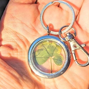 May include: A silver keyring with a round, clear glass charm containing a four-leaf clover. The charm is attached to a silver ring and a silver clasp.