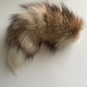 Red Fox Tail