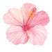 Madeliene Rose