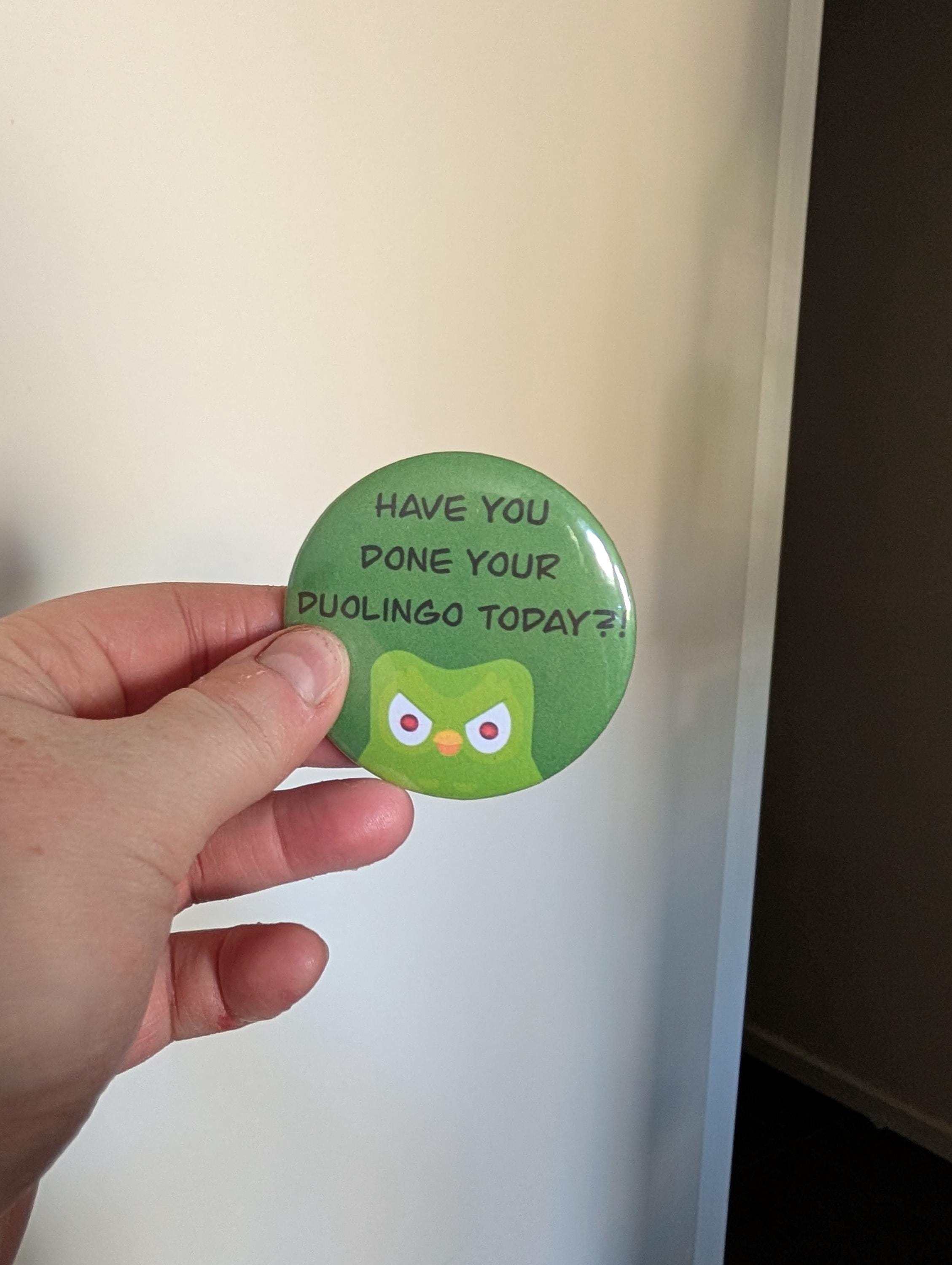 Duolingo reminder badge funny owl duo stabby owl don't lose streak language green owl Duolingo s