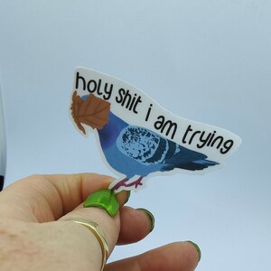 May include: A sticker depicting a blue pigeon with a brown leaf on its head. The sticker has the text "holy shit i am trying" in black. The sticker is held by a hand.