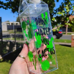 Cactus drink bottle vinyl decorated milk bottle carton bottles Christmas gift ideas plant lovers drink water reminder cute cactus stickers