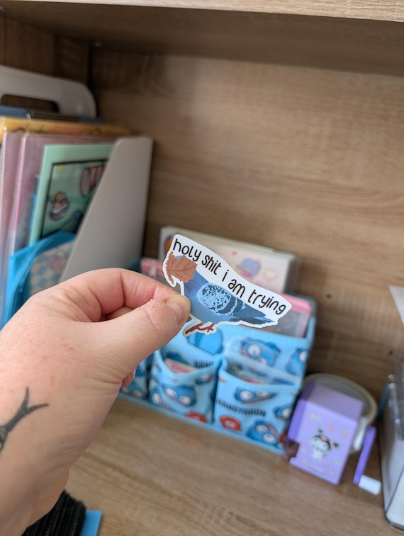 Funny stickers cute sticker mental health mentally ill stickers pigeons I'm trying sticker anxiety depression stickers memes positive aff
