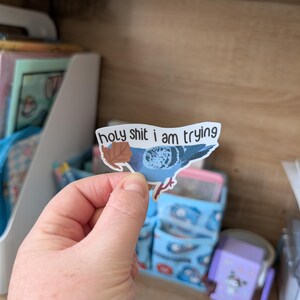 May include: A sticker depicting a blue pigeon with a leaf, and the text "holy shit i am trying". The sticker is held in a hand, set against a backdrop of wooden shelving and storage containers.