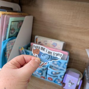May include: A sticker with a blue pigeon design and the words "holy shit i am trying". The sticker is held in front of a desk organiser and other stationery items, with a light blue and white colour scheme.