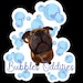 Bubbles Oddities