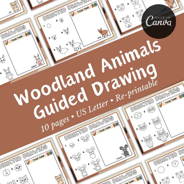 Woodland Animals Directed Drawing | Summer Learning Activities | Drawing Practice |