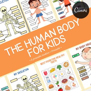 Human Body Busy Book | Anatomy Worksheets for Kids | Anatomy Learning Activities | Homeschool Resources | Human Body Worksheets |