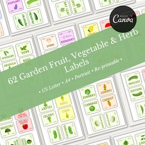 Op de afbeelding: Printbare etiketten voor een tuin met illustraties van fruit, groenten en kruiden. De etiketten zijn wit met zwarte contouren en bevatten kleurrijke illustraties van de planten. De etiketten bevatten namen zoals: Rucola, Basilicum, Laurierblad, Kool, Wortel, Selderij, Maïs, Komkommer, Aubergine, Knoflook, Jalapeño, Lavendel, Paprika, Tango, Courgette.