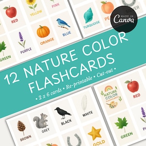 Flashcards couleur nature pour enfants | Cartes éducatives en couleur | Outils d'apprentissage de la nature | Reconnaissance des couleurs | Cartes d'apprentissage couleur |