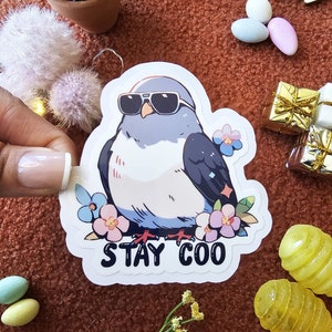 Stay Coo Pigeon Sticker  | Cool Pigeon Funny Sticker