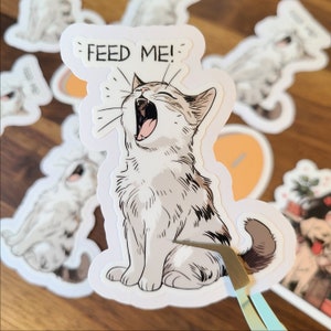 Feed Me Cat Sticker: Water-Resistant Vinyl Decal
