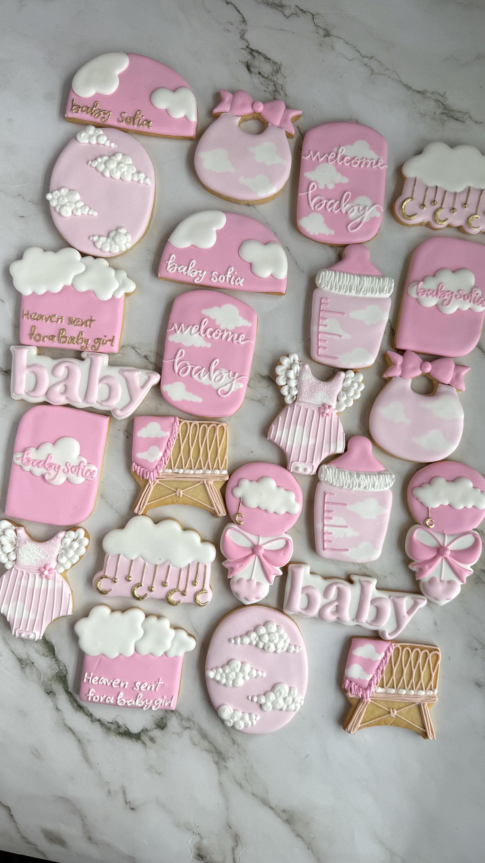 Cloud9 Baby Shower Cookies Handmade Organic Natural Pink Rose Shower Love Birth born Bridal Favors Sky Storks Gifts Sets Royal Icing
