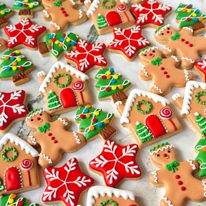 Mini-kerstkoekjes – Biologische gemberkoekjes Royal Icing, sneeuwvlokken en bomen – Handgemaakte bedankjes voor de feestdagen