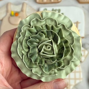 Farmers market-themed baby shower sugar cookies featuring hand-decorated designs like “little sprout,” baby onesies with vegetables, carrots, corn, strawberries, tomatoes, baby bottles, mason jars, leafy greens, and baby mobiles. Adorned with soft green, beige, orange, and red royal icing, these custom cookies are perfect for a “locally grown” or garden baby shower theme, gender-neutral celebrations, and personalized baby gifts.