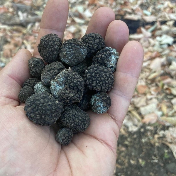 il_600x600.5144795744_ggap.jpg