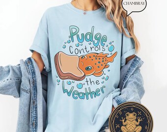 Retro Disney Lilo & Stitch Pudge Controls The Weather Shirt , Disneyland Family Matching Shirt, Magic Kingdom Tee, Disney Fasmily Trip Shirt