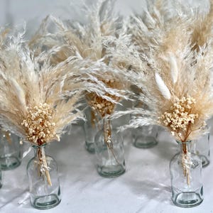 Pode incluir: Uma coleção de vasos de vidro transparente, cada um com um buquê de capim-dos-pampas seco e pequenas flores creme. A grama-dos-pampas bege e fofa cria um contraste suave com o vidro transparente e o fundo branco.
