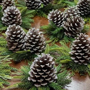 May include: Close-up of several brown pine cones with white tips, arranged on green artificial pine branches. The cones are clustered together, creating a natural, rustic aesthetic. Perfect for holiday decor.