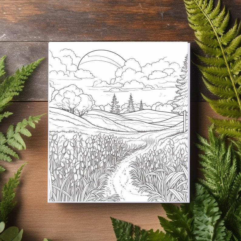 44 Finland Nature Adult Coloring Pages, Digital Download, Printable PDF ...