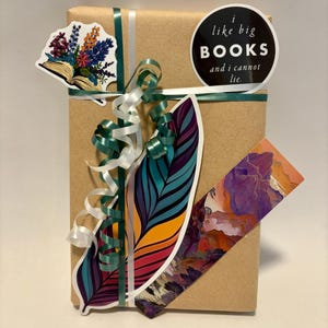 May include: A wrapped gift in brown paper, adorned with green and white ribbons, and decorative stickers. One sticker reads "i like big BOOKS and i cannot lie." Other stickers include a floral design and a colorful feather. A bookmark with a mountain scene is also included.