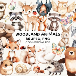 Clipart bébé animal des bois | 80 graphiques d'animaux kawaii | Baby shower PNG | Doodle bohème nouveau-né | Clipart animal de la forêt | Décoration de chambre d'enfant