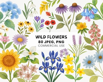 Zestaw clipartów z dzikimi kwiatami | 80 akwarelowych grafik kwiatowych | Kwiatowe rysunki PNG | Sztuka dekoracyjna natury | Botaniczne grafiki wektorowe na ślub