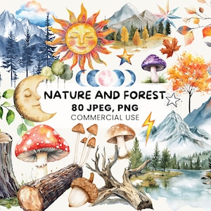 Forêt montagne des cliparts | 90 graphiques nature | Ambiance d'automne | Art de la lune céleste | Arc-en-ciel, lune, étoiles, champignons des bois, autocollants aquarelle