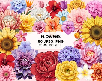 Kolorowe kwiaty | 60 kwiatów w formacie PNG | Kwitnące kwiaty | Ilustracja botaniczna - Wzory kwiatów | Naklejki do druku