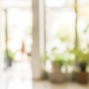 以下が含まれることがあります： 窓が大きく、鉢植えの植物が置かれた部屋のぼやけた画像。窓から自然光が差し込み、明るく風通しの良い雰囲気を作り出しています。