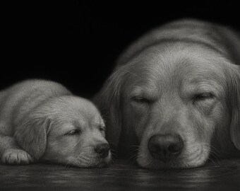 Retrato de perro personalizado: obra digital de cachorro y adulto "Ayer y hoy"