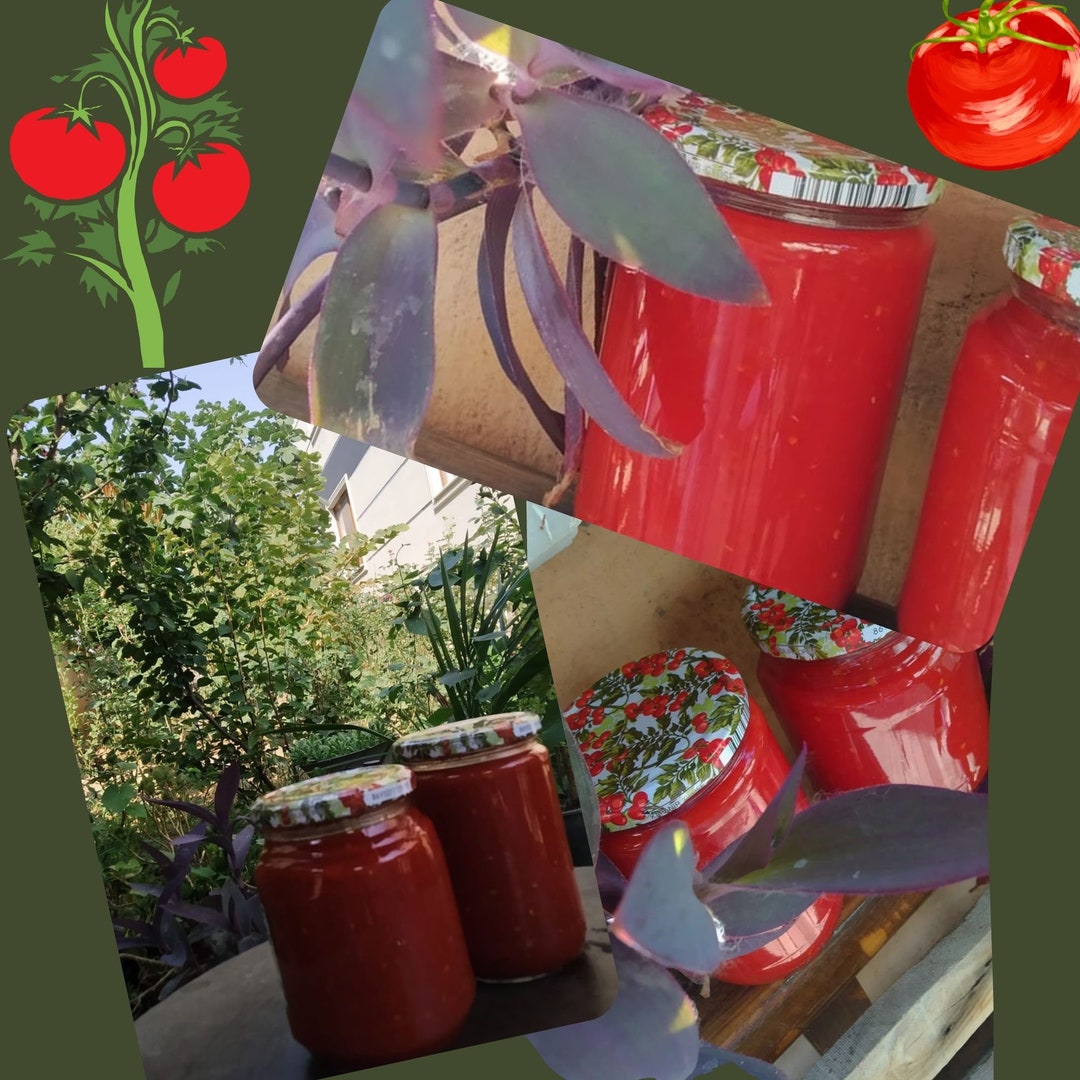 Organic Tomato Sauce, Tomato, Handmade, San Marzano Tomato Sauce