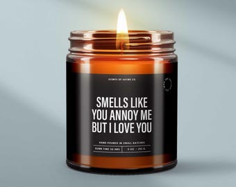 Smells Like You Annoy Me But I Love You Candle, Funny Anniversary Gift for Him, Sarcastic Soy Candle, Gift For Boyfriend, Scented, SS295