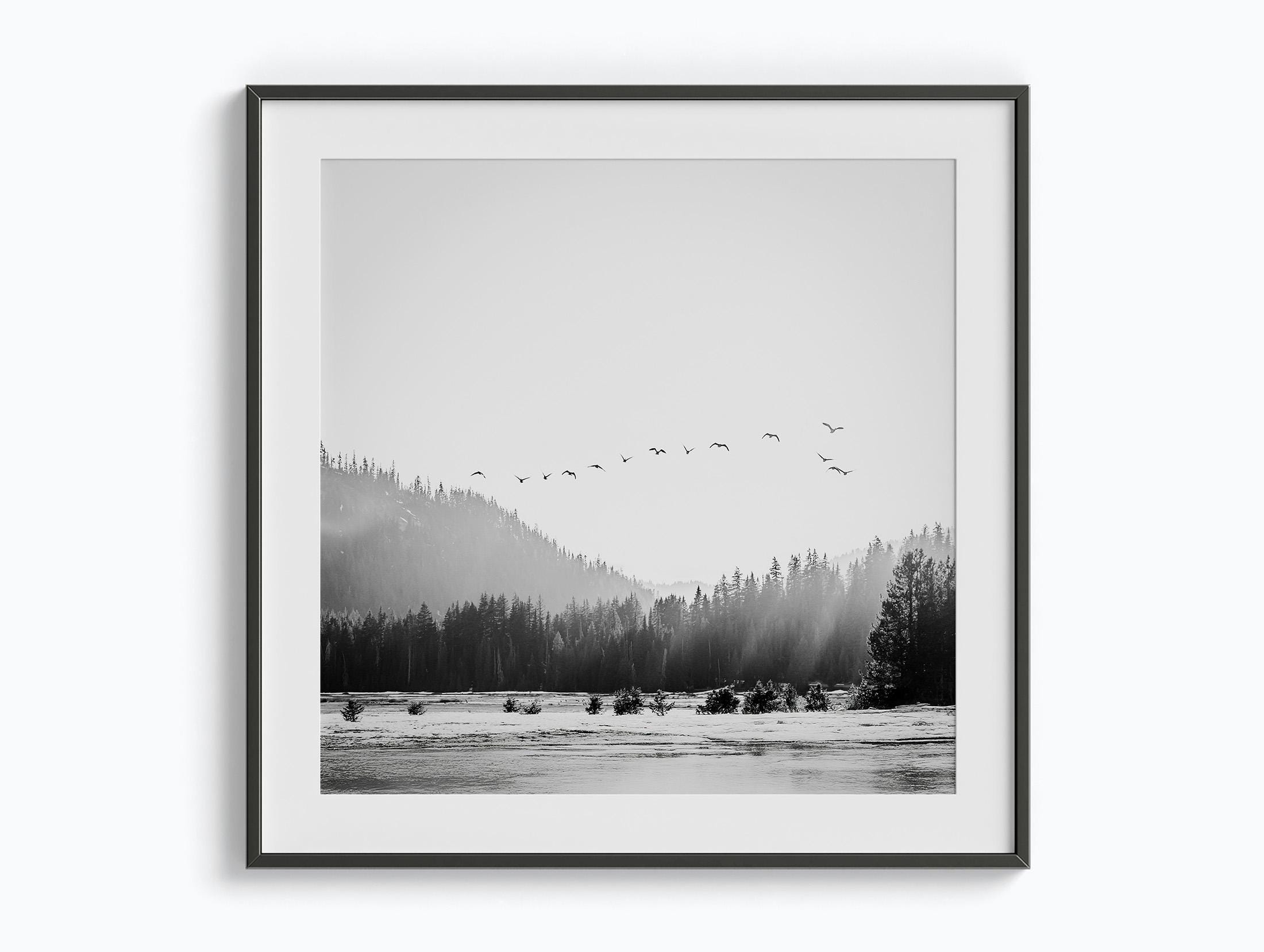 Mountain Meadow Black and White Square Print Bird Mountain Art Forest Bedroom Decor Mountain Trees Canvas Oregon Cascades Birds Wall Art