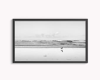 Samsung Frame TV Art Black and White Ocean Surf & Seagull Original Photography, Oregon Coast Pacific Landscape Photography Digital Download