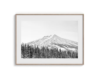 May include: Black and white framed print of a snow-covered mountain and evergreen trees. The photograph is a landscape scene with a light-colored frame. The mountain is in the background, and the trees are in the foreground.