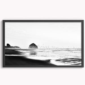 Peut inclure: Une photographie en noir et blanc d'une côte rocheuse avec une petite île au loin. L'eau est calme et des oiseaux volent au-dessus.