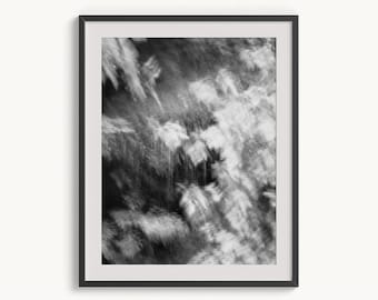 Abstract Forest Photography Ferns Nature Wall Art Atmospheric Black White Canvas Modern Organic Decor Fine Art Photography Nature Landscape