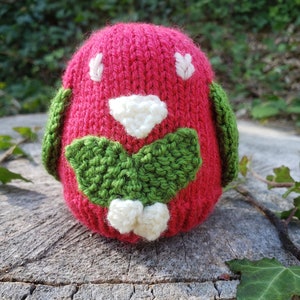 PDF Knitting Pattern for Knit-in-Round Snowberry Christmas Bird Chocolate Orange Cover; Christmas Cosy DK Yarn Project; Xmas Decoration Knit