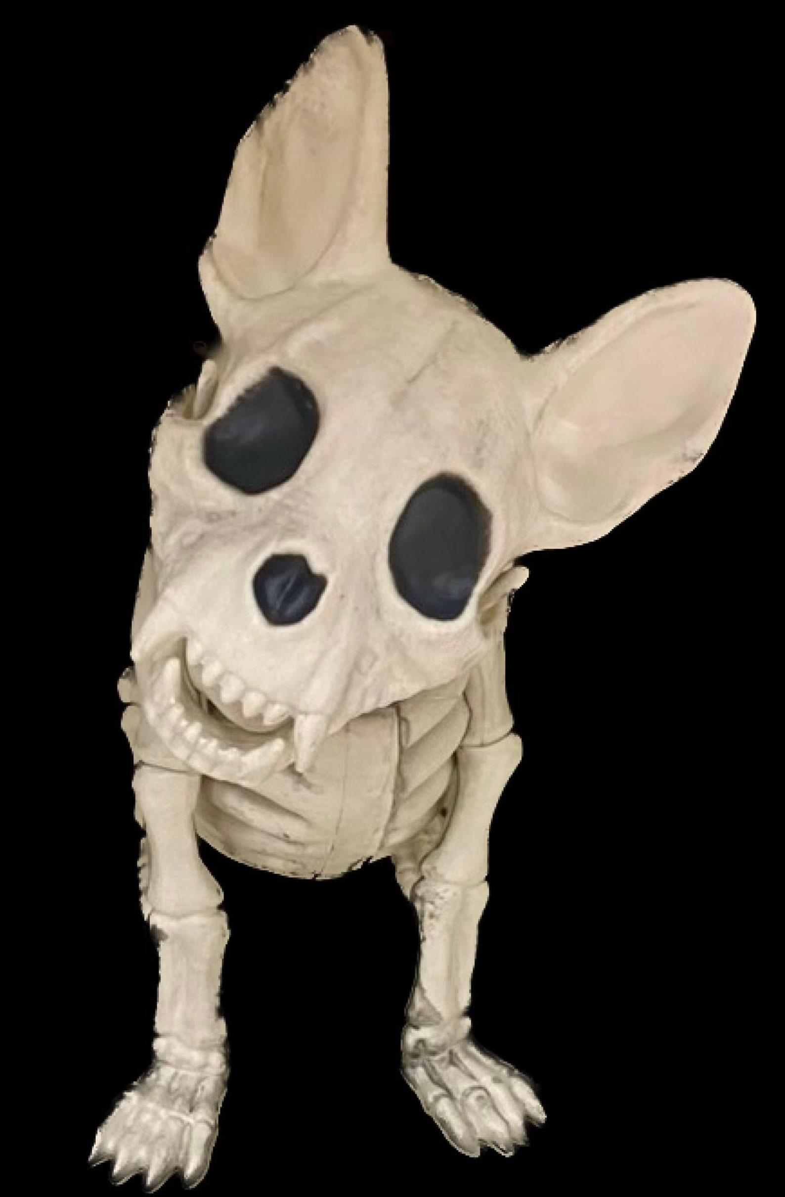 Chihuahuas Dog Skeleton Hauting Skeleton Dog Skeleton Puppy Etsy