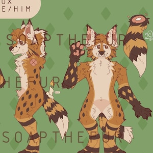 Fursona reference sheet - ref sheet for furries, character ref sheet
