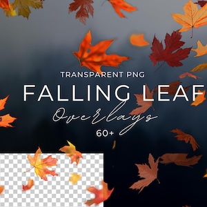 Falling Fall Leaves Overlays – High-Resolution Transparent PNGs for Photography & Digital Art | Autumn Effects | Instant Download