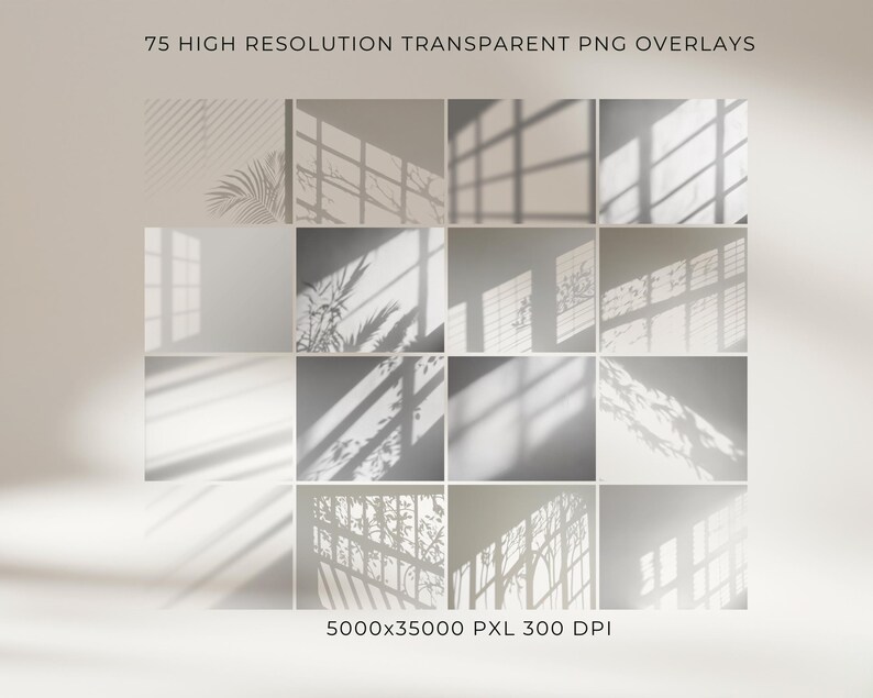 Window Texture Overlay 100+ Window Shadow Overlays Clipart – High-resolution Transparent Pngs ...
